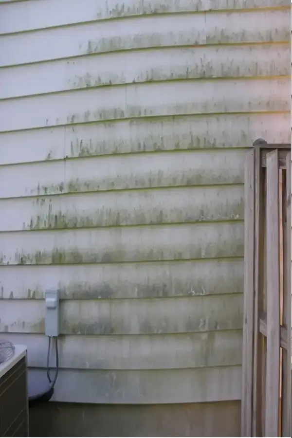 Before: white cladding streaked with green algae