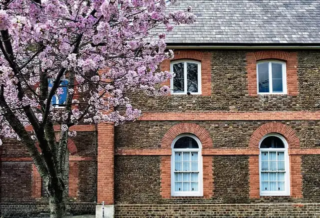 Cherry blossom in front of a red-brick house in spring