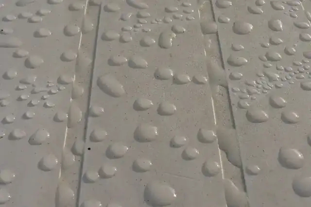 Water beading on a protected surface